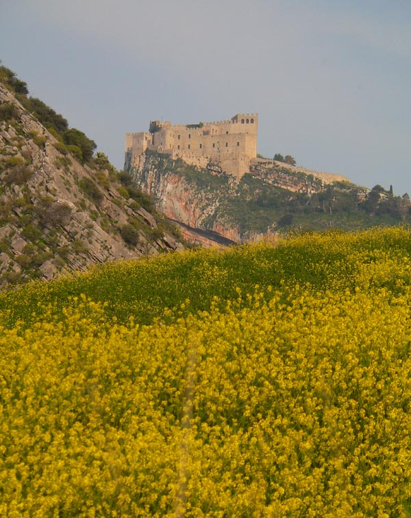 Primavera e orchidee palermitane